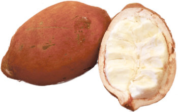 Cupuacu Fruit