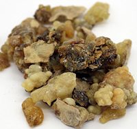 Frankincense Carterii