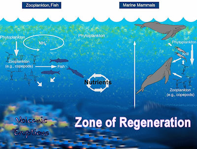 Kona Deep Sea Minerals